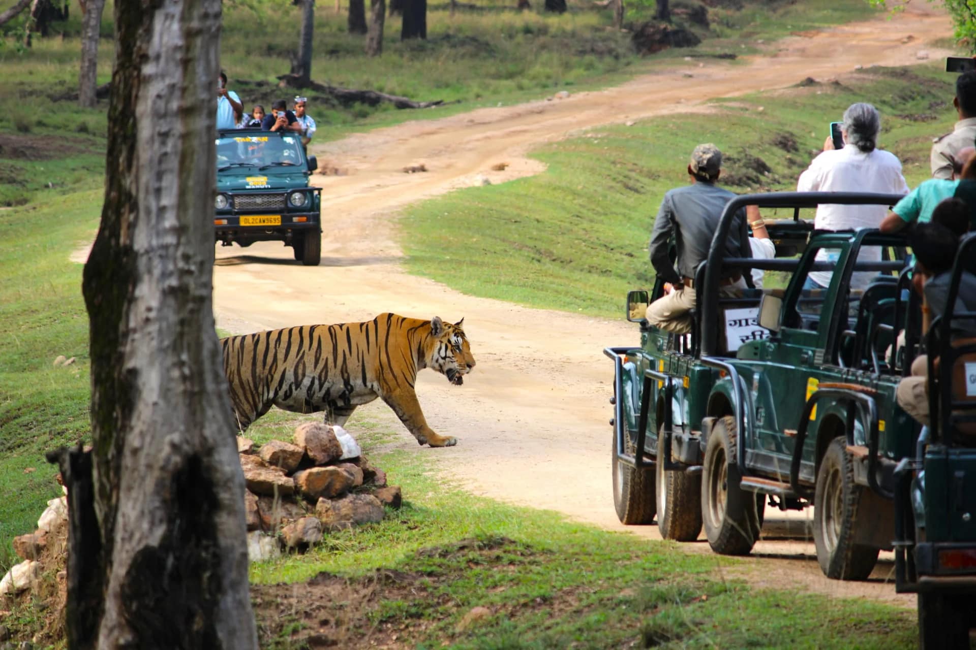 pench